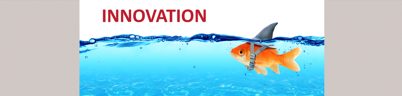 5-Innovation Goldfish